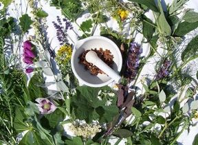 βότανα για τη θεραπεία της οστεοχονδρωσίας